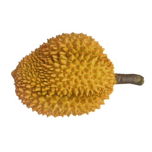 CIYODO Simulation Durian gefälschtes Obstspielzeug Ananas Künstliche Früchte Tischminiaturen Tischdekoration lebensechte Simulation Obst-Requisite Fruchtmodell Vitrinendekor Plastik Brown von CIYODO