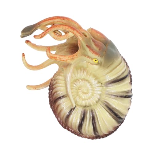 CIYODO Simulierte Nautilus Modelle Spielzeugornament Tierdekor Simuliertes Meeresmodell Künstliches Nautilus Modell Aquariumverzierungen Nautilus Spielzeug Simulation Nautilus Modell Aus von CIYODO