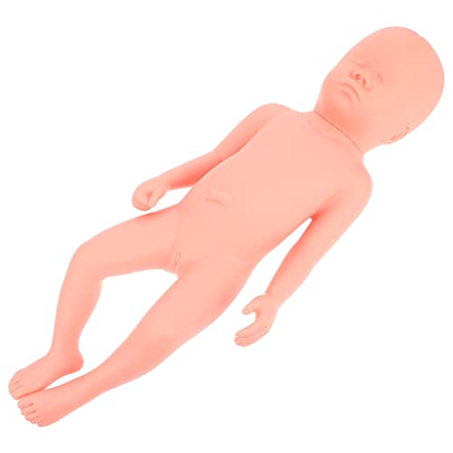 CIYODO fetales Modell pvc nabelschnur pflege modell PVC-Embryo-Modell Nabelschnurversorgungsmodell Arbeitsmodell Schwangerschaftsmodell PVC-Trainingsmodell Plastik-Embryo-Modell Rosa von CIYODO