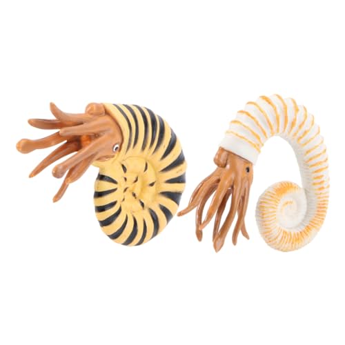 CLISPEED 2 Stück Meerestiere Modell Teilig Realistische Schnecken Figuren aus Kunststoff Detailreiches Lernspielzeug Leicht Tragbar für Schreibtisch und CLISPEED 2 Stück Meerestiere Modell Teilig Realistische Schnecken Figuren aus Kunststoff Detailreiches Lernspielzeug Leicht Tragbar für Schreibtisch und von CLISPEED