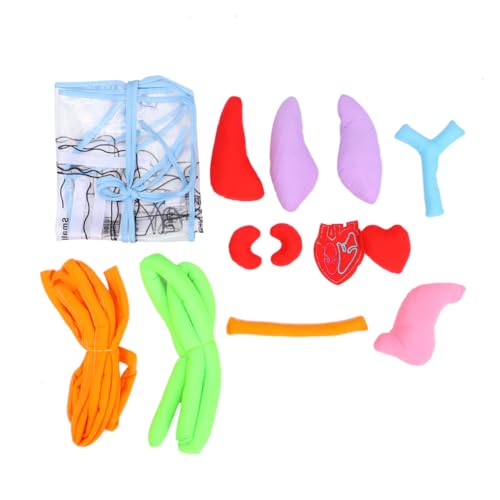 CLISPEED Lernschürze mit Körper Organ Modell Pädagogische Schürze für Kindergarten und Schule Inklusive Herz Lunge Leber Magen Nieren Darm Atmungsaktives Material Frosted Oberfläche CLISPEED Lernschürze mit Körper Organ Modell Pädagogische Schürze für Kindergarten und Schule Inklusive Herz Lunge Leber Magen Nieren Darm Atmungsaktives Material Frosted Oberfläche von CLISPEED