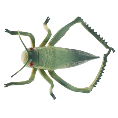 CLISPEED Realistische Große Heuschrecken Figur aus Robustem Kunststoff Pädagogisches Insekten für Drinnen und Draußen Detailgetreue Tierfigur für Insekten Partys und Lernzwecke CLISPEED Realistische Große Heuschrecken Figur aus Robustem Kunststoff Pädagogisches Insekten für Drinnen und Draußen Detailgetreue Tierfigur für Insekten Partys und Lernzwecke von CLISPEED