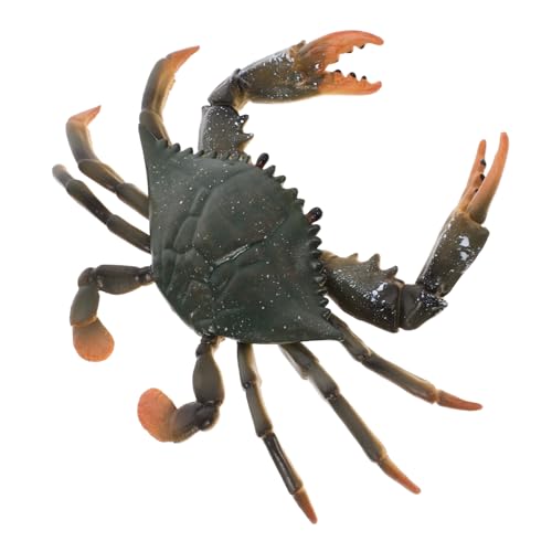 CLISPEED Realistisches Krabbenmodell Kognitives Meerestier Pädagogisches Kreatives Taktile Leichtes Sicheres Kunststoffmodell für Wohnraumdekoration und Lernspiel CLISPEED Realistisches Krabbenmodell Kognitives Meerestier Pädagogisches Kreatives Taktile Leichtes Sicheres Kunststoffmodell für Wohnraumdekoration und Lernspiel von CLISPEED