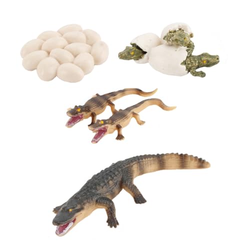 CLISPEED Simulation Krokodil Wachstumsmodell aus Kunststoff Pädagogisches für Fördert Kreativität und Tiererkennung Sicher und Vielseitig für Spiel und Dekoration Lernspielzeug Ab Jahren CLISPEED Simulation Krokodil Wachstumsmodell aus Kunststoff Pädagogisches für Fördert Kreativität und Tiererkennung Sicher und Vielseitig für Spiel und Dekoration Lernspielzeug Ab Jahren von CLISPEED