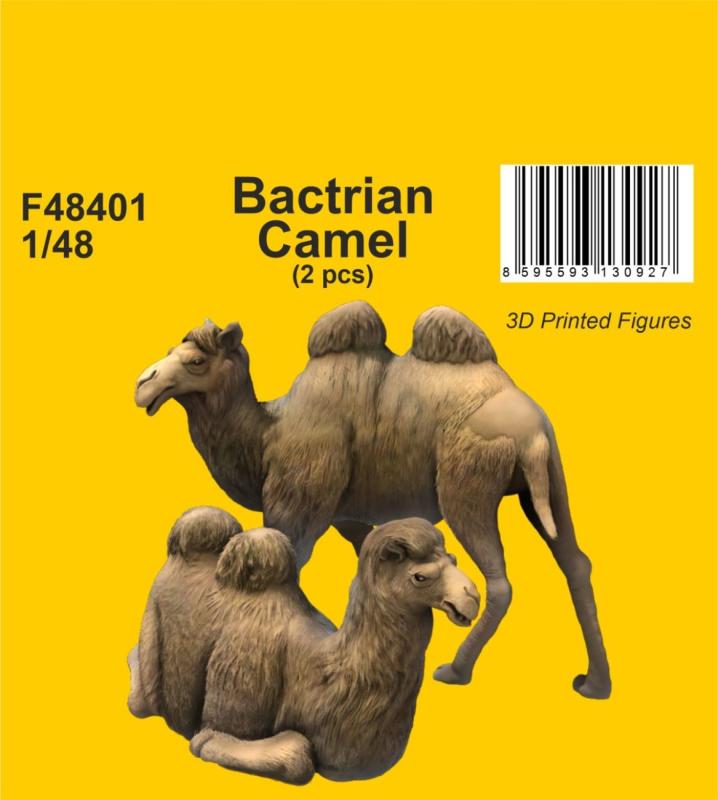 Bactrian Camel (2 pcs) von CMK