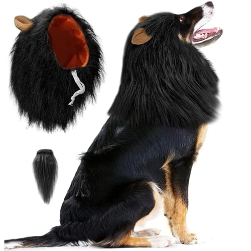 CNAFGBGG Mähne für Hund mit Schwanz süße Hundehähne mit Ohren lustige Hund Kostüm Dekorative Realistische Hund Kostüm für Halloween -Fotoshootings Party, m .. von CNAFGBGG