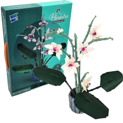 COIL Spielbauklötze, Blumen aus Blöcken, Orchidee, Bausteinset, Bauklötze, Baukasten, Botanische Sammlung, Wohndekor, für Kinder ab 6 Jahren, 728 St. von COIL