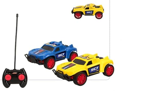 ColorBaby - Packung mit 2 Autos R/C Rally Cars Maßstab 1:24 Full Funktion, Mehrfarbig (49947) von ColorBaby