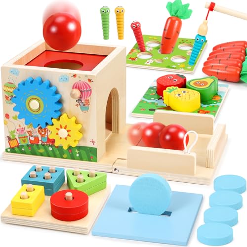 COOLJOY Magnetisches Angelspiel Montessori Spielzeug ab 2 Jahre