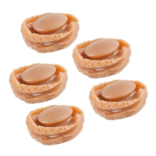 5st Simulierte Mini-Abalone Food-Modell Mini- -Rollenspiel Lebensmittelverzierung Aus Harz Mini-Food-Requisite Mini-Essen Winziges Lebensmittelmodell Plastik Brown CORHAD von CORHAD