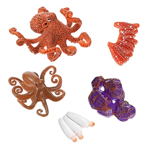 CORHAD 1 Satz Kognitives Modell des Lebens Oktopus Spielzeug Meerestierfiguren Oktopus-lebenszyklus-Spielzeug Miniatur-oktopus-Figuren Lebenszyklusmodelle Lebenszyklusfiguren Plastik von CORHAD