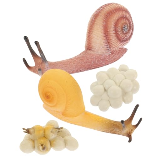 CORHAD 1 Satz Wachstumszyklus der Schnecke Lernspielzeug für Kinder Spielzeuge Schneckenwachstumszyklus Biologisches Modellspielzeug Plastikschneckenmodellspielzeug Schneckenzyklus-Modell von CORHAD