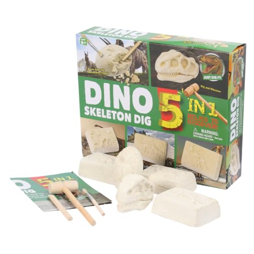 CORHAD 1 Schachtel archäologisches pädagogisches Spielzeug saurier Spielzeug Dinosaur Toys Dinosaur Spielzeug Archäologie-Dinosaurier-Grabspielzeug Archäologisches Dinosaurierspielzeug von CORHAD