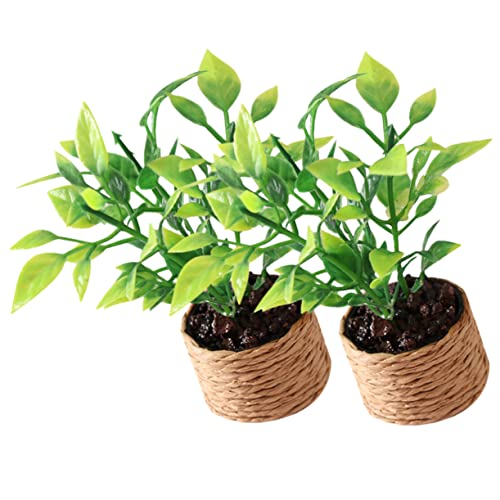 CORHAD 2er Set Miniatur Orangebaum Topfpflanzen Künstliche Pflanzen Für Puppenhaus Und Tischdekoration Miniatur Garten Ideal Als Schreibtischaccessoire von CORHAD