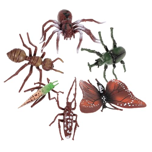 CORHAD Insekten Kinder Insect 6 Teiliges Set Realistische Insekten Für Pädagogisches Lernspielzeug Für Haushalt Und Spiel Ideal Für Entdeckung Und Kreativität von CORHAD