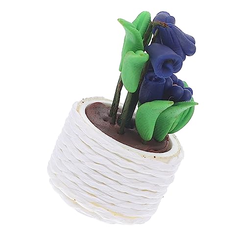 CORHAD Mini-topfpflanzen Kleine Hausdekoration Töpfe Für Pflanzen Mini-Bonsai-Modell Mini-pflanztöpfe Mini-pflanzgefäße Bunte Pflanzentöpfe Mini-töpfe Puppenhaus Sukkulenten Violett Ton von CORHAD