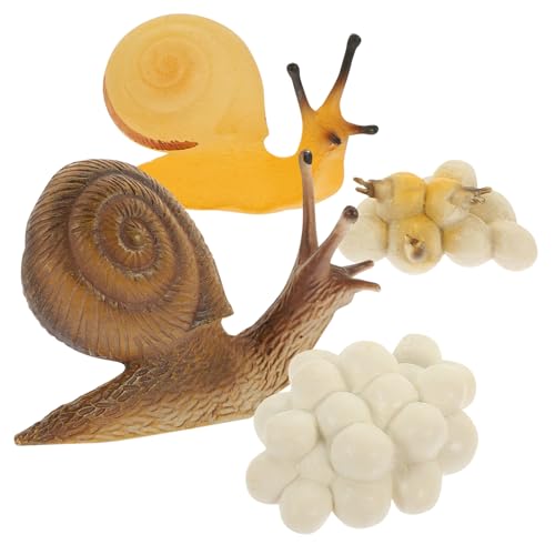 CORHAD Simuliertes Schneckenwachstum Lernspielzeug aus Hochwertigem Kunststoff Pädagogisches Modell für Ab Monaten Interaktives Kognitionsspielzeug und Dekorationsobjekt für Naturfreunde CORHAD Simuliertes Schneckenwachstum Lernspielzeug aus Hochwertigem Kunststoff Pädagogisches Modell für Ab Monaten Interaktives Kognitionsspielzeug und Dekorationsobjekt für Naturfreunde von CORHAD