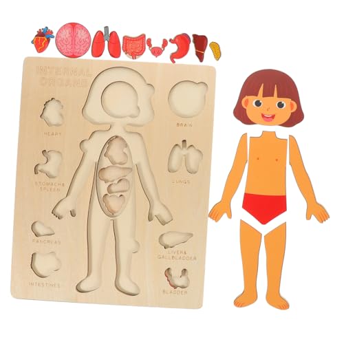 COSMEVIVI Puzzle Mit Menschlichen Organen Für Kinder Spielzeug Zur Kognitiven Entwicklung Von Kleinkindern Vorschulunterricht 1 Satz Holzpuzzle Für Kinder von COSMEVIVI