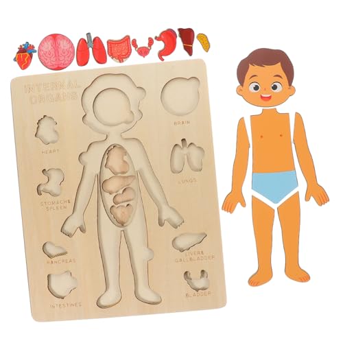 COSMEVIVI 1 Set Strukturpuzzle Für Den Menschlichen Körper Kinderspielzeug Puzzles Organe des Menschlichen Körpers Puzzle Körperorgane Spielzeug Kognitives Spielzeug von COSMEVIVI