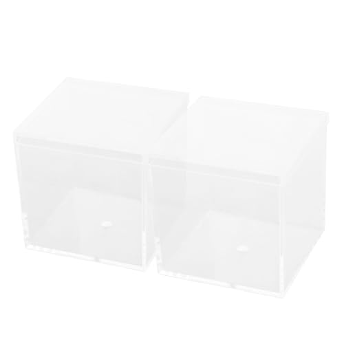 COSMEVIVI 2 Teilige Box Würfel Display Box Spielzeugbehälter Spielset Zubehör Mini Puzzle Vitrine Transparente Boxen Kleine Boxen Mit Deckel Kleiner Quadratischer Aufbewahrungs von COSMEVIVI