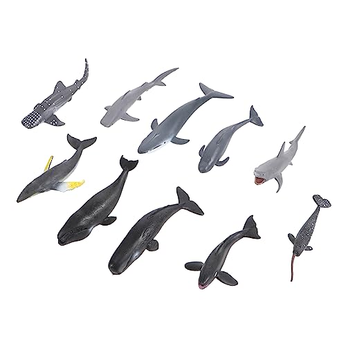 COSMEVIVI 24st Tiermodell Spielzeug Simulation Ozeantier Aquarienverzierung Modell Eines Meeresbewohners Meerestierfigur Aquarium-Ornament Simulation Wal Figur Plastik von COSMEVIVI