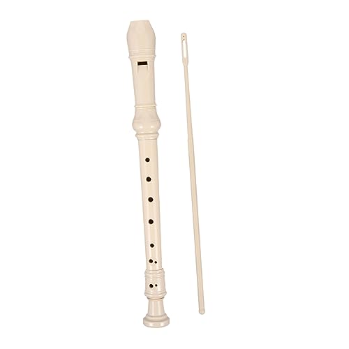 COSMEVIVI Set Kinder Sopranblockflöte 8 Loch C Blasinstrument Für Anfänger Mit Putzstock Ideales Musikinstrument Für Musikalische Früherziehung Und Spielspaß Für Kinder von COSMEVIVI