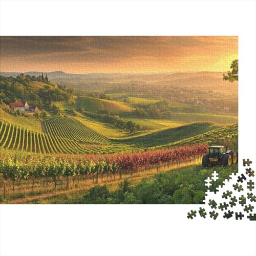 1000 Teile Puzzle Für Erwachsene Vineyards at Sunset Puzzle Für Erwachsene, Holzpuzzle, Erwachsene Und Kinder 1000pcs (75x50cm) von CPXSEMAZA