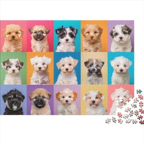 Cute Dogs Puzzle 300 Teile Puzzle Für Anfänger Erwachsene Geschicklichkeitsspiel Für Die Ganze Familie Geschicklichkeitsspiele Erwachsenenpuzzle Ab 14 Jahren 300pcs (40x28cm) von CPXSEMAZA