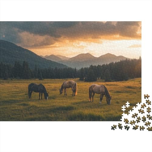 Irish Horse 1000-teiliges Puzzle Für Erwachsene, Familie Oder Kinder, Puzzle-Spielzeug, Lernspiele, Stressabbau-Puzzles, Einzigartige Heimdekoration Und Geschenke 1000pcs (75x50cm) von CPXSEMAZA