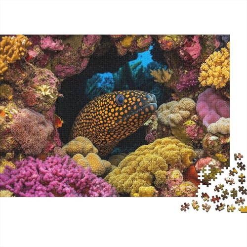 Ocean EEL | Puzzle Für Erwachsene | Puzzle Für Jugendliche | Schwieriges Puzzle | 500 Teile Puzzle 500pcs (52x38cm) von CPXSEMAZA