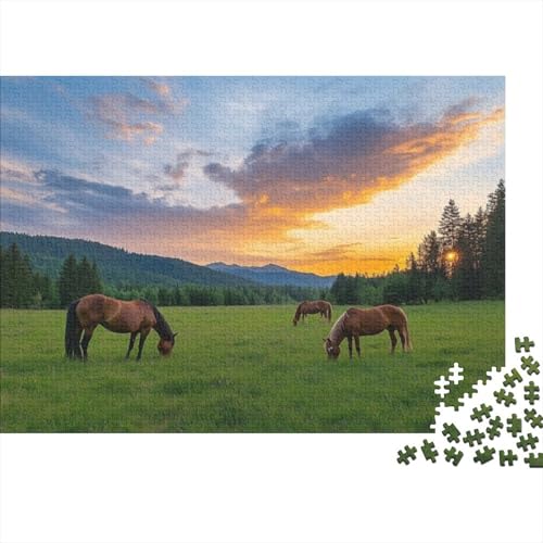 Puzzles 1000 Teile Für Erwachsene Irish Horse Puzzle Lernspiele Heimdekoration Puzzle 1000pcs (75x50cm) von CPXSEMAZA