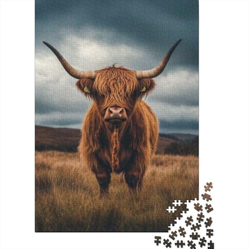 Puzzles Für Erwachsene 300 Teile Highland Cattle 300-teiliges Puzzle. Anspruchsvolles Spiel 300pcs (40x28cm) von CPXSEMAZA