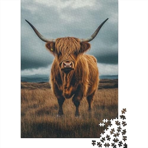 Puzzles Für Erwachsene 500 Teile Highland Cattle Puzzle 500 Teile Anspruchsvolles Spiel 500pcs (52x38cm) von CPXSEMAZA