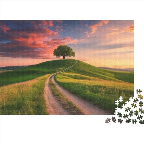 Puzzles Für Erwachsene 500 Teile Holzpuzzle Rural Scenery Puzzle-Kunstwerk, Puzzle-Wanddekoration, Einzigartige Geburtstags 500pcs (52x38cm) von CPXSEMAZA