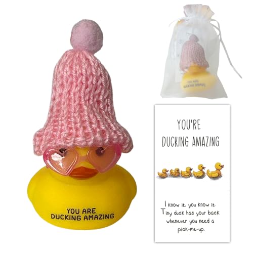 Emotional Support Rubber Ducks,Mini Funny Positive Rubber Duck, Inspirational Ducks with Cheer up Cards,Duck Car Dashboard Decorations, Cruise Rubber Ducks for Valentine's Day Gift (Pink) von CQSVUJ