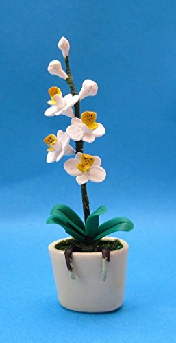 CREAL SàRL Mini Edle Orchidee im Blumentopf Puppenhaus Dekoration Miniatur 1:12 von CREAL SàRL