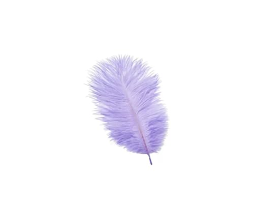 CREATIV DISCOUNT® NEU Straussenfeder, 20 cm, 2 Stück, Lavendel von CREATIV DISCOUNT