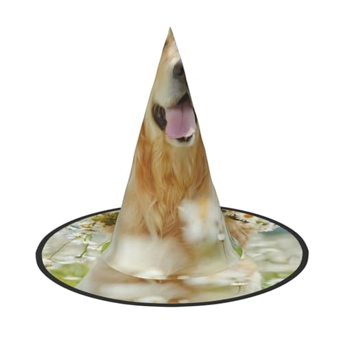 CRJSYCBYB Golden Retriever Hund gedruckt Halloween Hut Hexenhut Halloween Spitzhut von CRJSYCBYB