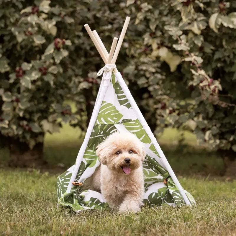 Hundezelt mit Kissen, Sonnenschutz für Hunde von CROCI