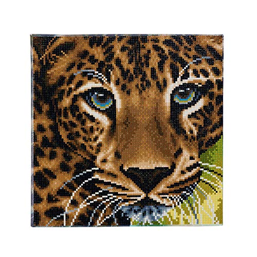 Crystal Art CAK-A66 Leopard, Kristallkunst 30x30cm Framed Kits, Multicolor von CRYSTAL ART