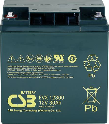 CSB Battery EVX 12300 EVX12300 Bleiakku 12V 30Ah Blei-Vlies (AGM) (B x H x T) 166 x 175 x 125mm M5-S von CSB Battery