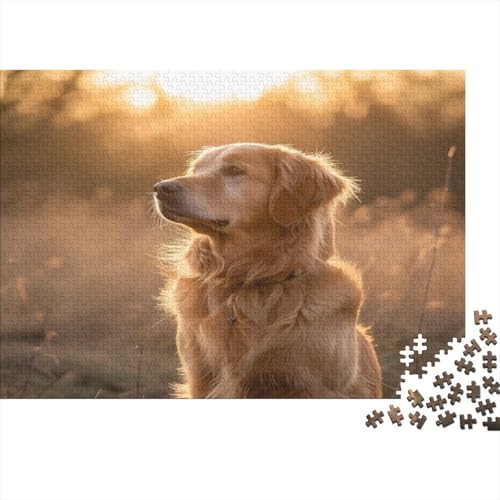 Golden Retriever Puzzle 1000 Teile Puzzle Für Erwachsene Und Kinder Ab 14 Jahren Puzzel 1000pcs (75x50cm) von CTNEBUIIO