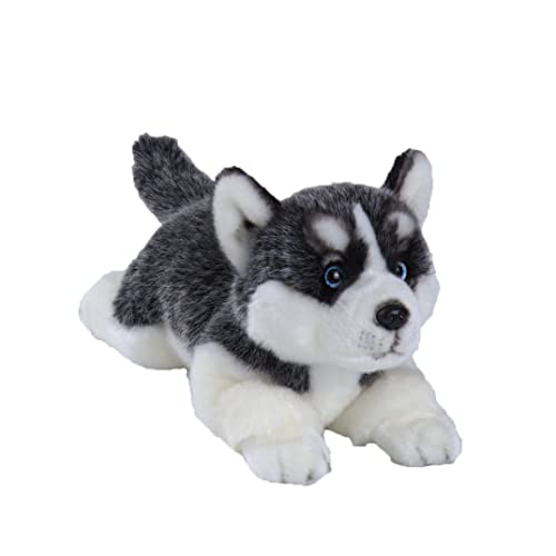 CU-MATE Sibirischer Husky-Stoffhund, Tiersimulation, realistisch und lebensecht, weich, handgefertigt, liegender Hund, Plüschtier, Welpe, Geschenk für Jungen und Mädchen CU-MATE Sibirischer Husky-Stoffhund, Tiersimulation, realistisch und lebensecht, weich, handgefertigt, liegender Hund, Plüschtier, Welpe, Geschenk für Jungen und Mädchen von CU-MATE