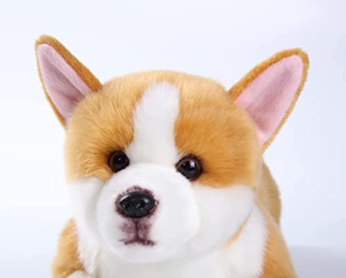 CU-MATE Welsh Corgi Dog Pembroke Simulation Plüschtier, weich, handgefertigt, aus Plüsch, Welpe, Geschenk für Jungen und Mädchen von CU-MATE