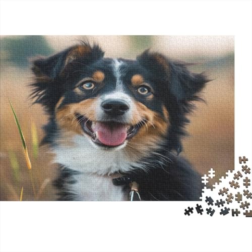 Australischer Schäferhund Puzzle 1000 Teile Puzzles Für Erwachsene Lernspiel Herausforderungsspielzeug 1000-teilige Puzzlespiel Für Erwachsene Kinder Puzzel 1000pcs (75x50cm) von CUBSKRIRB