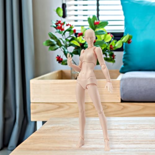 CUCUFA Miniaturkreaturen Figuren, Actionfigurmodell, PVC Manga Art Drawing Doll Body Kun Chan weibliche Hautfarbe Künstler Sammlerspiele Spielzeug von CUCUFA