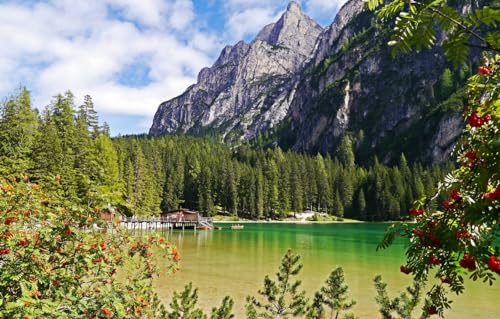 Holzpuzzle für Erwachsene und Kinder, 200-teiliges Puzzle, Wald, Landschaft, Berge, Italien, 35 x 25 cm Holzpuzzle für Erwachsene und Kinder, 200-teiliges Puzzle, Wald, Landschaft, Berge, Italien, 35 x 25 cm von CUREW