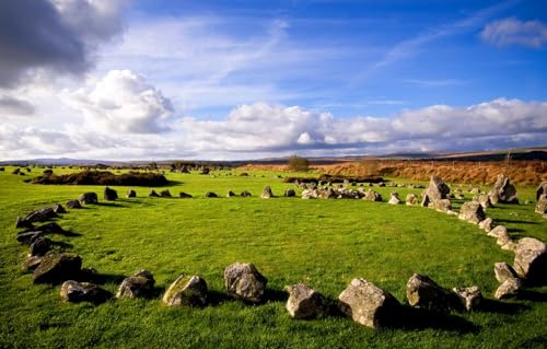 Puzzle für Erwachsene, 200 Teile, Kinderspielzeug, Familienspiele, Geburtstagsgeschenke für Kleinkinder, Lernspielzeug für Jungen und Mädchen, Feld, Kreis, 35 x 25 cm Puzzle für Erwachsene, 200 Teile, Kinderspielzeug, Familienspiele, Geburtstagsgeschenke für Kleinkinder, Lernspielzeug für Jungen und Mädchen, Feld, Kreis, 35 x 25 cm von CUREW