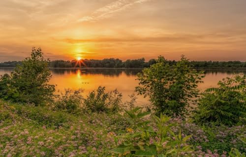 Puzzle für Erwachsene 100 Puzzles für Erwachsene 100 Teile Puzzle 100 Teile Puzzles, Landschaft 45,5x35,5CM Puzzle für Erwachsene 100 Puzzles für Erwachsene 100 Teile Puzzle 100 Teile Puzzles, Landschaft 45,5x35,5CM von CUREW