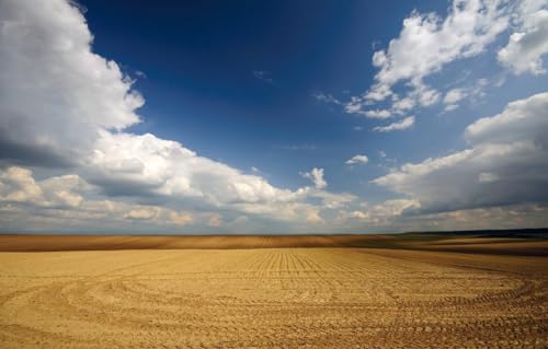 Puzzle für Erwachsene 100 Teile Brückenpuzzle für Erwachsene Anspruchsvolles Spiel, Feld, Leere 45,5x35,5CM Puzzle für Erwachsene 100 Teile Brückenpuzzle für Erwachsene Anspruchsvolles Spiel, Feld, Leere 45,5x35,5CM von CUREW